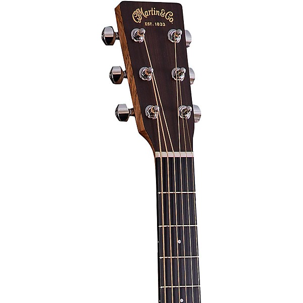 Martin & Co. DRS2 アコースティックギター DRS2