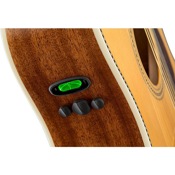 Open Box Fender Paramount Series PM-1 Standard Dreadnought Acoustic-Electric Guitar Level 1 Natural