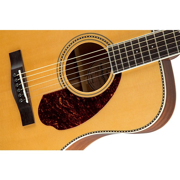 Open Box Fender Paramount Series PM-1 Standard Dreadnought Acoustic-Electric Guitar Level 1 Natural