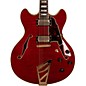 Open Box D'Angelico EX-DC Semi-Hollowbody Electric Guitar Level 2 Cherry, Tortoise Pickguard 888366019818 thumbnail