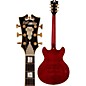Open Box D'Angelico EX-DC Semi-Hollowbody Electric Guitar Level 2 Cherry, Tortoise Pickguard 888366019818