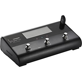 Fishman TriplePlay FC-1 Floor Controller