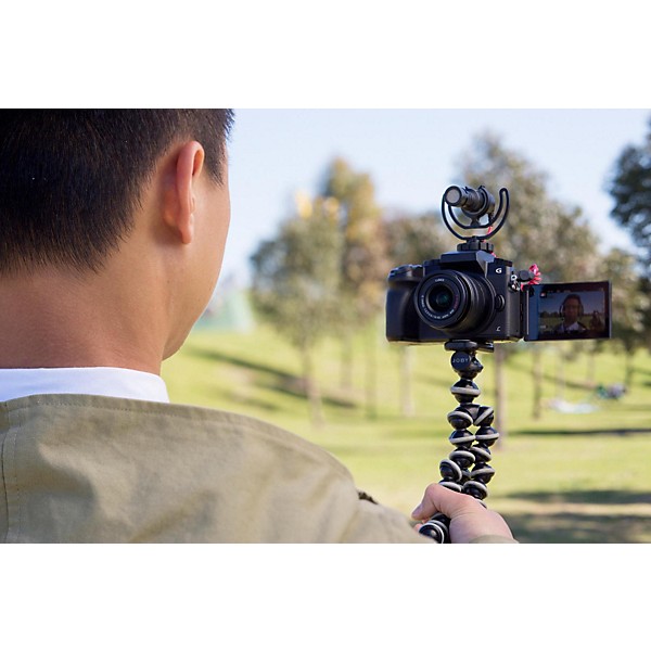 Rode VideoMicro Compact On-Camera Microphone with Rycote Lyre Shock Mount,  Auxil 698813004362