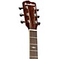 Open Box Breedlove Stage Dreadnought Acoustic Electric Guitar Level 1 Natural