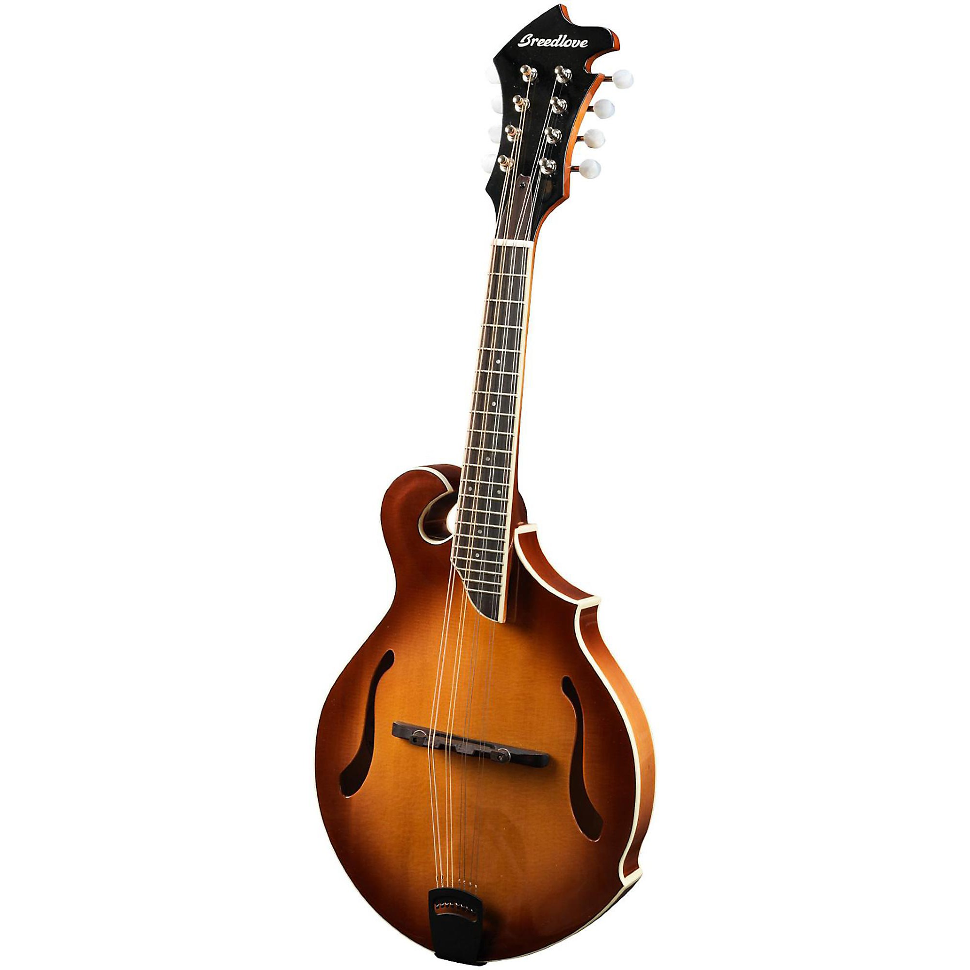 フラットマンドリン/Mandolin Lovers Club フラットマンドリン