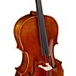 Ren Wei Shi Academy Series Cello Outfit 4/4