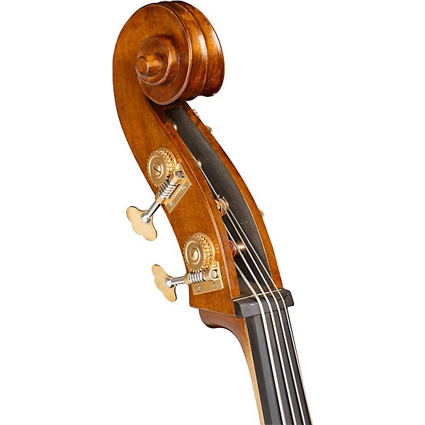 Ren Wei Shi Academy Series Double Bass Outfit 3/4