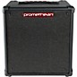 Ibanez Promethean 20W 1x8 Bass Combo Amp