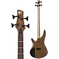 Ibanez SR300EB 4-String Electric Bass Guitar Walnut Flat