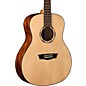 Open Box Washburn Woodline 10 Series WLO10S Acoustic Guitar Level 2 Natural 190839861566 thumbnail