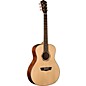 Open Box Washburn Woodline 10 Series WLO10S Acoustic Guitar Level 2 Natural 190839861566