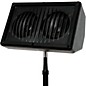 Galaxy Audio Galaxy Audio HS4 100W Passive Compact Personal Hot Spot Stage Monitor<br> thumbnail