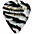 Fender 351 Shape Premium Picks, Zebra Celluloid Heavy 12 Pack Fender 351 Shape Premium Picks, Zebra Celluloid Heavy 12 Pack