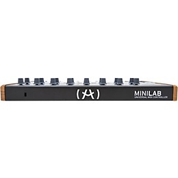 Arturia MiniLab Mini Hybrid Keyboard Controller Limited Black Edition Black