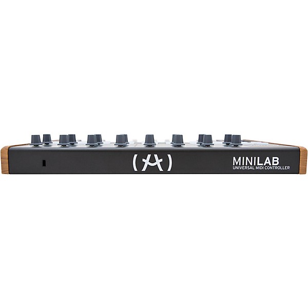 Arturia MiniLab Mini Hybrid Keyboard Controller Limited Black Edition Black