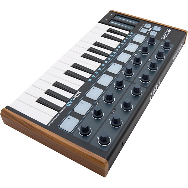Arturia MiniLab Mini Hybrid Keyboard Controller Limited Black Edition Black