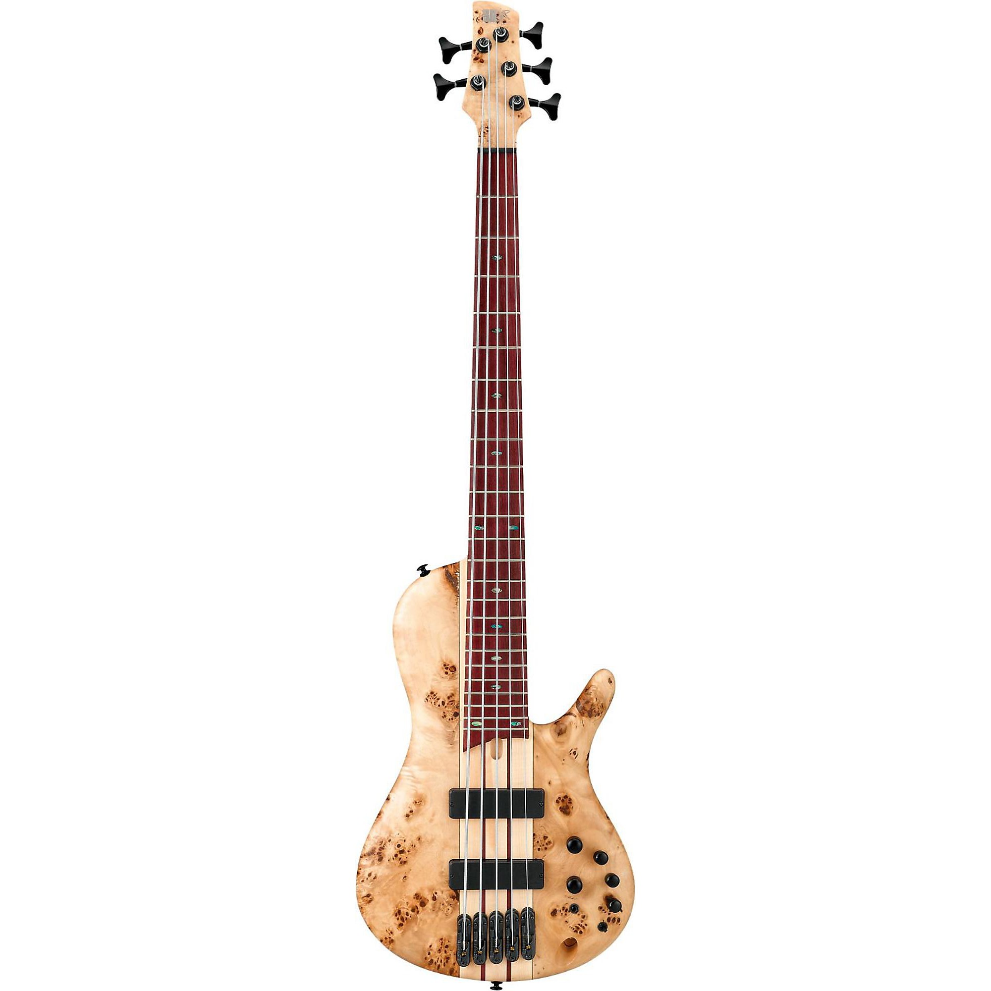 CORE PORT BAR MUSIC セット Open Box Ibanez Bass Workshop SR Cerro SRSC805 5-String