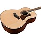 Taylor 800 Series 858e Grand Orchestra 12-String Acoustic-Electric Guitar Gloss