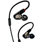 Audio-Technica ATH-E50 Professional In-Ear Monitor Headphones thumbnail