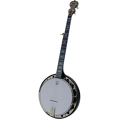 Deering Artisan Goodtime Ii 5-String Resonator Banjo for sale