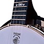 Deering Artisan Goodtime Special 5-String Resonator Banjo Natural