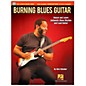 Hal Leonard Burning Blues Guitar - Watch and Learn Authentic Blues Rhythm and Lead Guitar Book/Online Video thumbnail