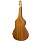 Asher Guitars & Lap Steels KW100 Imperial Lap Steel Acoustic Guitar Natural