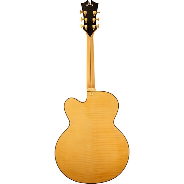 Open Box D'Angelico EXL-1A Acoustic-Electric Archtop Guitar Level 1