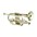 Jupiter JCR700 Standard Series Bb Cornet Lacquer Jupiter JCR700 Standard Series Bb Cornet Silver