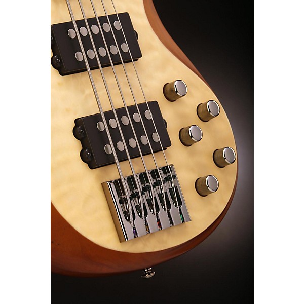 Mitchell FB705 Fusion Series 5-String Bass Guitar with Active EQ Natural
