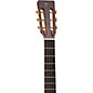 Takamine EF740FS Thermal Top Acoustic Guitar Natural