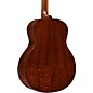 Taylor 500 Series 516e-Bari-LTD Limited Edition Grand Symphony Acoustic-Electric Guitar Natural