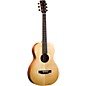 Open Box Recording King RP-A3M EZ Tone Single O Acoustic Guitar Level 2 Natural 888366008997