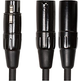 Roland Black Series 6" XLR (Female) - Dual XLR (Male) Y Interconnect Cable 6 in. Black