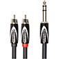 Roland Black Series 1/4" TRS (Male) - Dual RCA Interconnect Cable 10 ft. Black thumbnail
