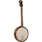 Open Box Recording King Madison RK-G25-BR 6-String Banjo Level 2 Natural 190839062154