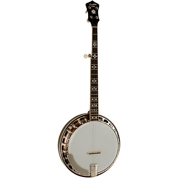 Recording King Bluegrass Series RK-R20 Songster Banjo