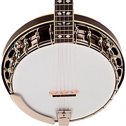 Restock Recording King Bluegrass Series RK-R20 Songster Banjo Natural