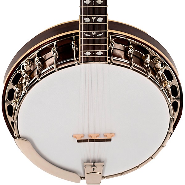 Restock Recording King Bluegrass Series RK-R20 Songster Banjo Natural