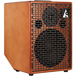 Open Box Godin Acoustic Solutions ASG150 1x8 150W Acoustic Guitar Combo Amp Wood Finish Level 1