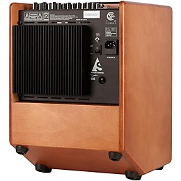 Open Box Godin Acoustic Solutions ASG150 1x8 150W Acoustic Guitar Combo Amp Wood Finish Level 1