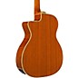 EKO DUO Series Auditorium Acoustic-Electric Guitar Natural