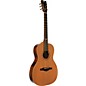 EKO EVO Series Parlor Acoustic-Electric Guitar Natural