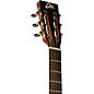EKO EVO Series Parlor Acoustic-Electric Guitar Natural