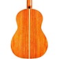 Open Box Cordoba Leona L9-E Acoustic-Electric Guitar Level 1 Natural