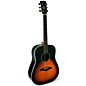 EKO EGO Series Star Dreadnought Acoustic-Electric Guitar Sunburst
