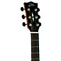 EKO EGO Series Star Dreadnought Acoustic-Electric Guitar Sunburst