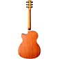 EKO TRI Series Auditorium Cutaway Acoustic-Electric Guitar Natural