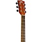 EKO TRI Series Auditorium Cutaway Acoustic-Electric Guitar Natural