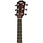 Taylor 400 Series 410e Rosewood Limited Edition Dreadnought Acoustic-Electric Guitar Natural